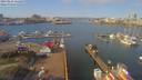 ./images/victoria/wharf/20190226/wharf20190226_111459.jpg