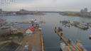 ./images/victoria/wharf/20190227/wharf20190227_080958.jpg