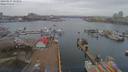 ./images/victoria/wharf/20190227/wharf20190227_103954.jpg