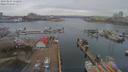 ./images/victoria/wharf/20190227/wharf20190227_112456.jpg