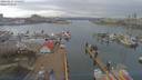 ./images/victoria/wharf/20190227/wharf20190227_131451.jpg