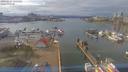 ./images/victoria/wharf/20190227/wharf20190227_135453.jpg