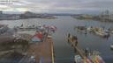 ./images/victoria/wharf/20190227/wharf20190227_141453.jpg