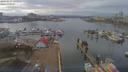 ./images/victoria/wharf/20190227/wharf20190227_141954.jpg