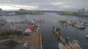 ./images/victoria/wharf/20190227/wharf20190227_144955.jpg