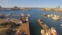 ./images/victoria/wharf/20190302/wharf20190302_112451.jpg