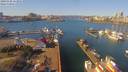 ./images/victoria/wharf/20190302/wharf20190302_113952.jpg