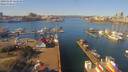 ./images/victoria/wharf/20190304/wharf20190304_111950.jpg
