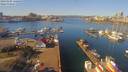 ./images/victoria/wharf/20190304/wharf20190304_112450.jpg