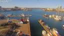 ./images/victoria/wharf/20190305/wharf20190305_111452.jpg