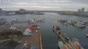 ./images/victoria/wharf/20190306/wharf20190306_121954.jpg