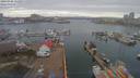 ./images/victoria/wharf/20190306/wharf20190306_131957.jpg