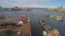 ./images/victoria/wharf/20190307/wharf20190307_102449.jpg