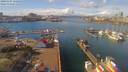 ./images/victoria/wharf/20190307/wharf20190307_115953.jpg