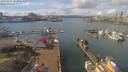./images/victoria/wharf/20190307/wharf20190307_123954.jpg