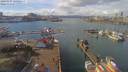 ./images/victoria/wharf/20190307/wharf20190307_124955.jpg