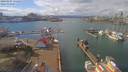 ./images/victoria/wharf/20190307/wharf20190307_131455.jpg