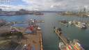 ./images/victoria/wharf/20190307/wharf20190307_131956.jpg