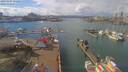 ./images/victoria/wharf/20190307/wharf20190307_132456.jpg