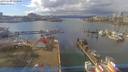 ./images/victoria/wharf/20190308/wharf20190308_134950.jpg