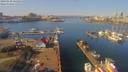 ./images/victoria/wharf/20190310/wharf20190310_121953.jpg