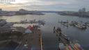 ./images/victoria/wharf/20190310/wharf20190310_163955.jpg