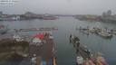 ./images/victoria/wharf/20190311/wharf20190311_162452.jpg