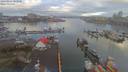 ./images/victoria/wharf/20190313/wharf20190313_081958.jpg
