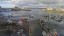 ./images/victoria/wharf/20190313/wharf20190313_121458.jpg