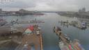 ./images/victoria/wharf/20190314/wharf20190314_081957.jpg