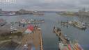 ./images/victoria/wharf/20190314/wharf20190314_112955.jpg