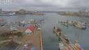 ./images/victoria/wharf/20190314/wharf20190314_114456.jpg