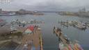 ./images/victoria/wharf/20190314/wharf20190314_120957.jpg