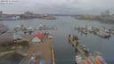./images/victoria/wharf/20190314/wharf20190314_121458.jpg