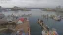 ./images/victoria/wharf/20190314/wharf20190314_131951.jpg