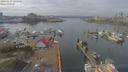 ./images/victoria/wharf/20190314/wharf20190314_135952.jpg