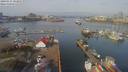 ./images/victoria/wharf/20190315/wharf20190315_103951.jpg