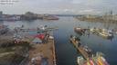 ./images/victoria/wharf/20190315/wharf20190315_131457.jpg