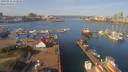 ./images/victoria/wharf/20190316/wharf20190316_111950.jpg