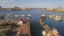 ./images/victoria/wharf/20190316/wharf20190316_112450.jpg