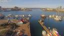 ./images/victoria/wharf/20190316/wharf20190316_120452.jpg