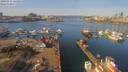 ./images/victoria/wharf/20190316/wharf20190316_121953.jpg