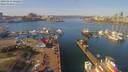 ./images/victoria/wharf/20190316/wharf20190316_122453.jpg