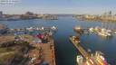 ./images/victoria/wharf/20190316/wharf20190316_122953.jpg