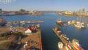 ./images/victoria/wharf/20190317/wharf20190317_112951.jpg