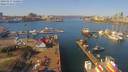 ./images/victoria/wharf/20190317/wharf20190317_120953.jpg