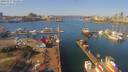 ./images/victoria/wharf/20190317/wharf20190317_121953.jpg