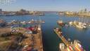 ./images/victoria/wharf/20190317/wharf20190317_122454.jpg