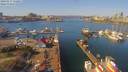 ./images/victoria/wharf/20190317/wharf20190317_122954.jpg