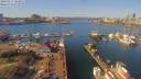 ./images/victoria/wharf/20190317/wharf20190317_123954.jpg